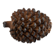 55eba566914d2cc97a46d5f7732a22a2