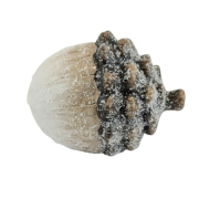 ec33601ed7d8cb9f800d731328558df5