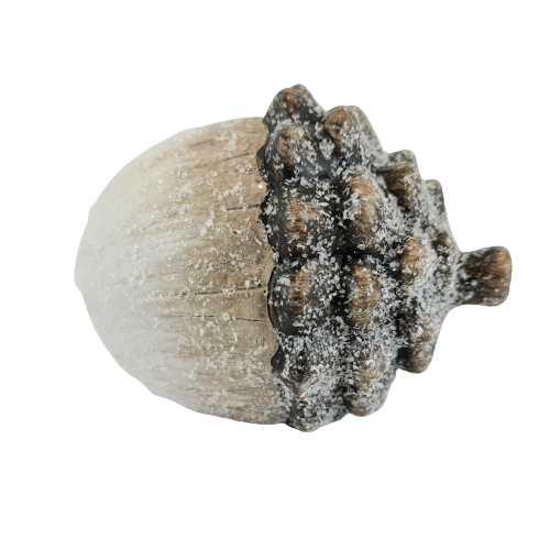 ec33601ed7d8cb9f800d731328558df5
