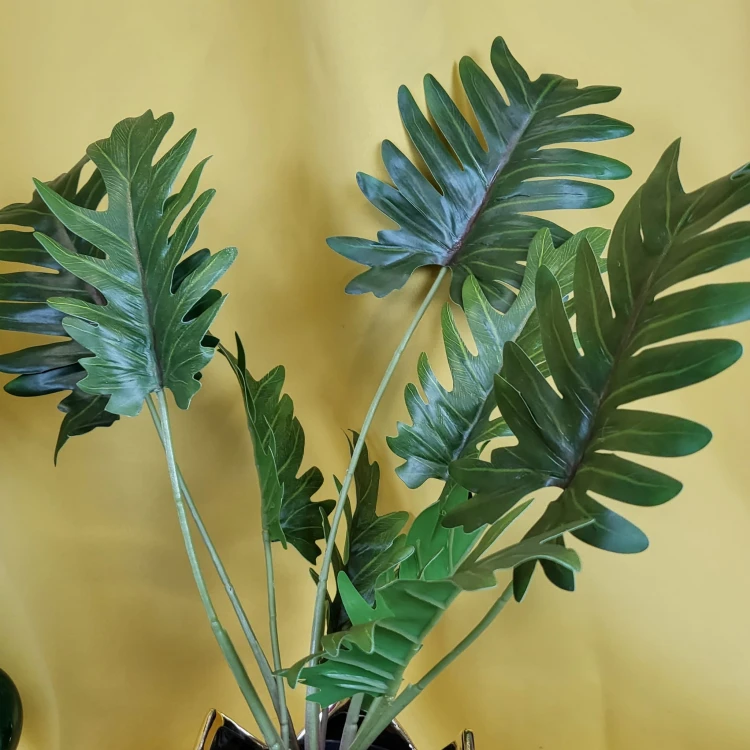 e6e690509a1ec869780227b9f6370f12