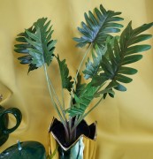 3db51f164804417e16b91c5b4e884f77