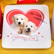 d886def50cdf07b0debb7f33475d2a90