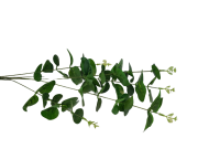 ec61cc500ad3c9fa8d3abc432c423786