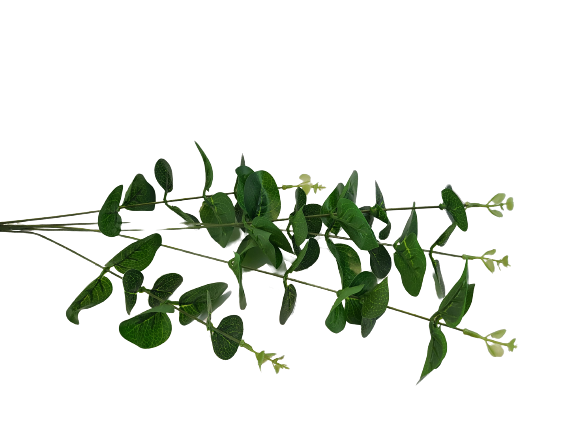 ec61cc500ad3c9fa8d3abc432c423786