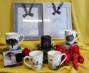 1c1fce50df753866bc5f4683fdd9a58a