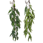 36e4b616b37b9fd0f1719794d9f2b402