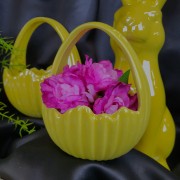 55f688003294f54aa01edf4b9c8ceb4a