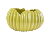 cccd744c5edfe1b01737c114861c64ca