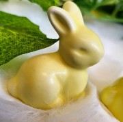 dbd66d9db0f34ecc834dd3ae594dad25