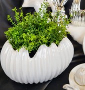 a18443dd87cff5d7b75bba8bf962622d