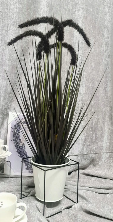 b0e7c6f3885870b1bc0945089f08c2f2