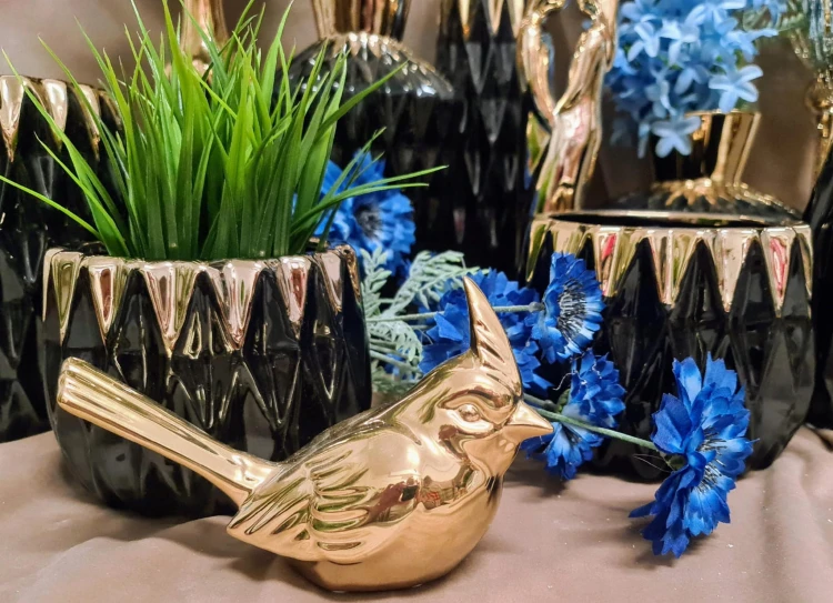 cc7173b24ca7a4f6b93e6ab9ea4889cd