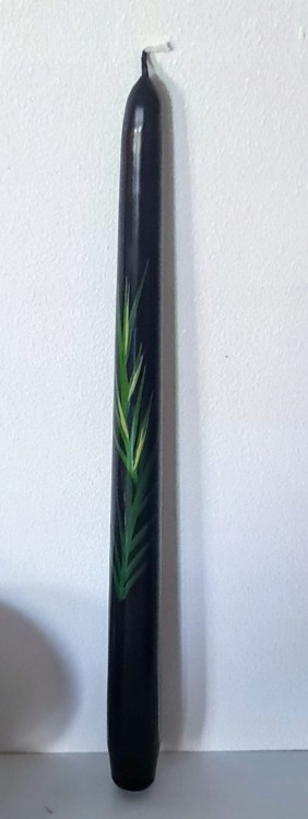 8168e421be579425c6017113f258609f