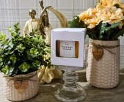 97d138037b485f5a3f8b88899851efc9