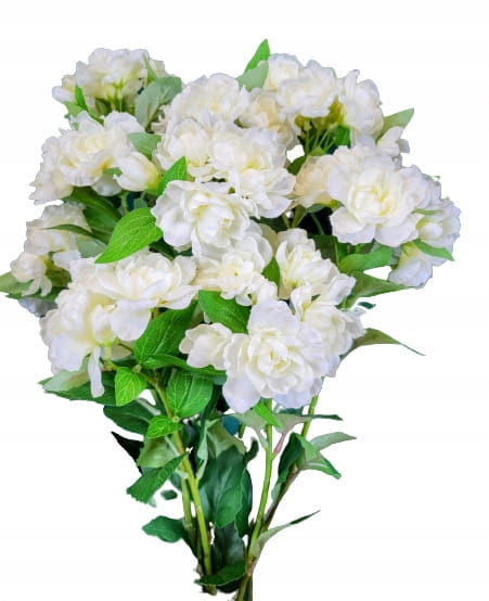 7760ff2be2b662f61f34f0efe6774cf5