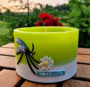 15fed21fed6fbf35cf2a8e80aa874c58