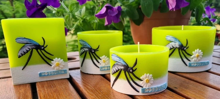 645b2cddb68459f210b96e392c8ae973