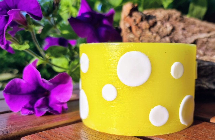 b6851ff8ed0e40af6d9f6ad50955a50e