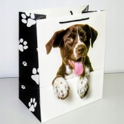 2503649b559429f84b7f06f0b646059b