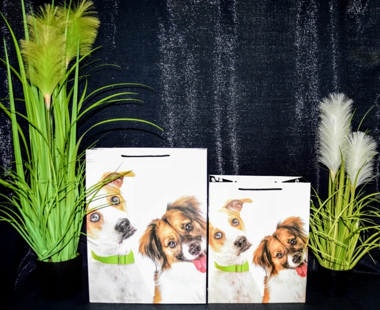 a16a7e29cf559242a459aeb4c9ac5232