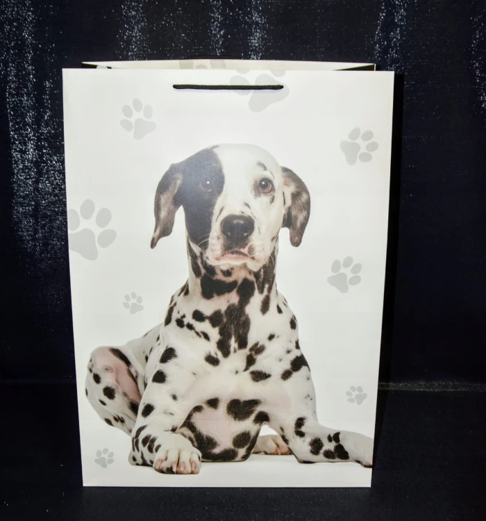 88c78b8e0151cb9a25a9b5ff50bb0e03