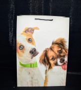 5edfdfaa698dc046be46f46f28c1bdeb