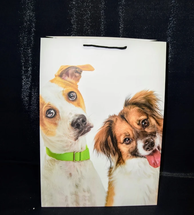 5edfdfaa698dc046be46f46f28c1bdeb