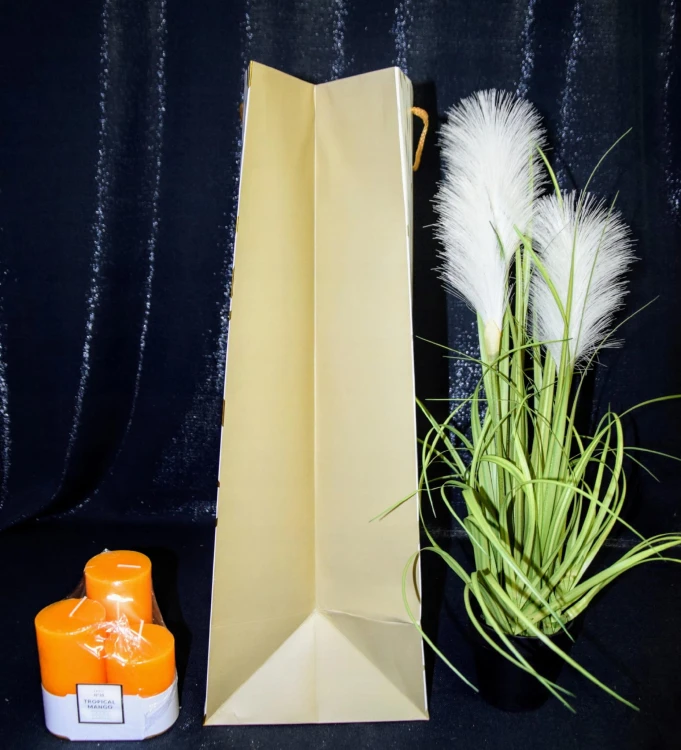 1e7a5934e6e87a1e998d952395b74c84