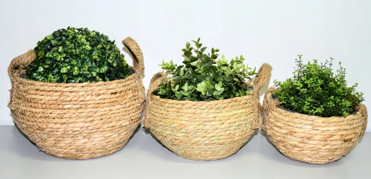 b62eb74e8ca437da77d226e3725266ab