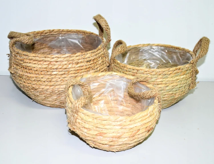 0ea86e97729203192c6aaa32af50084f