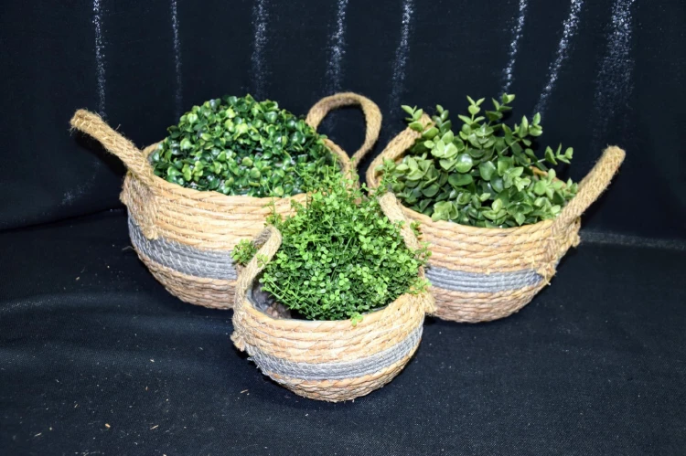 8cc4a40288716b888d1175076eaef851