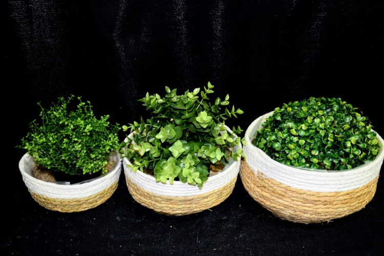 1cc59513e11f4f2baed4bb4fe976a2a6