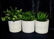 ca0019a0437a227addcdd6fc3f4e8e4e