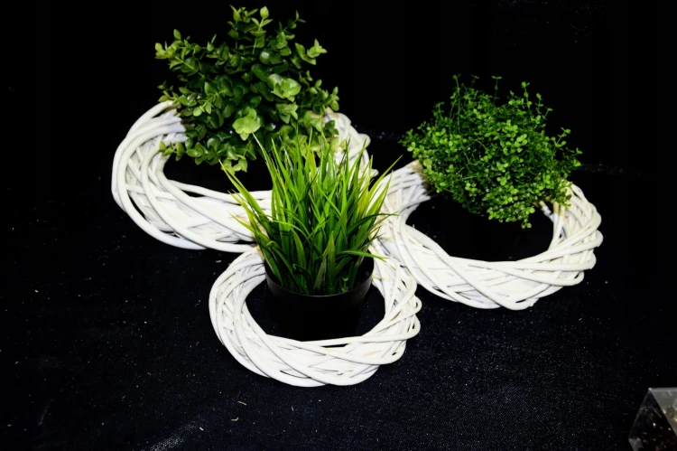 d14b9e657bd85ae45c151f794c9b0606