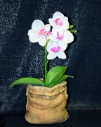 96295b261fff7c353388e8ba1a2d529d