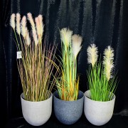 a68c71177d2d3edca0bffc59ed1aadc6