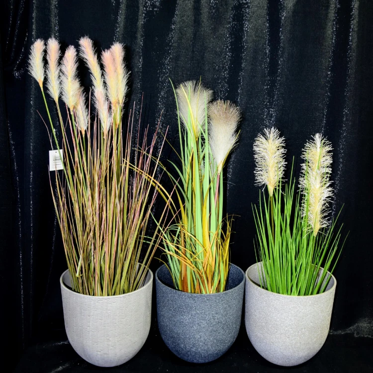 a68c71177d2d3edca0bffc59ed1aadc6