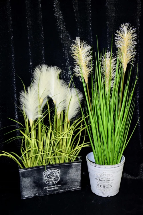 5c3ff0cda04482aa4f5dc59feacd871e