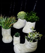 ffa146dd2155a1c79e24e5723b6ef3e0