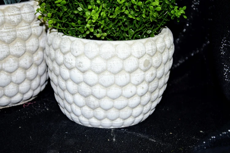 851512811b06c2276111d7b7052940e7