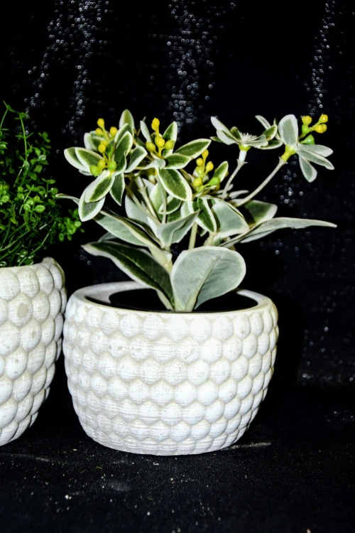 8710cd1c5126f6c7c188909e499eebb6