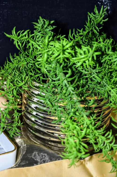 56b011c34c5db84ba8c375b597322954