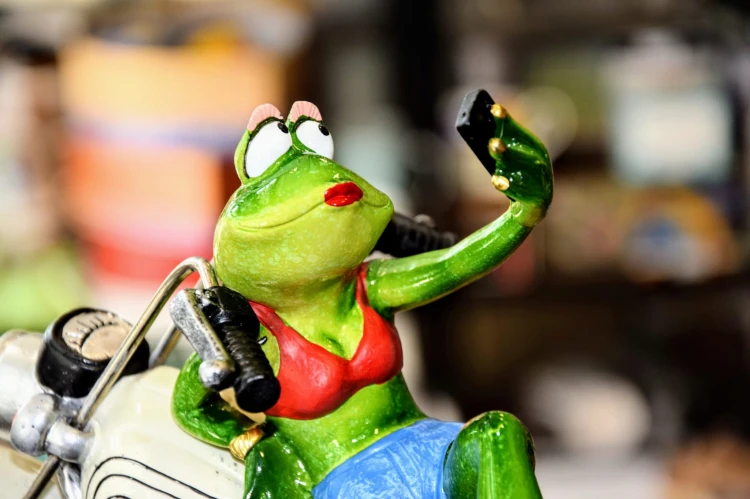 1645699259415f14b7f17607ff408e19