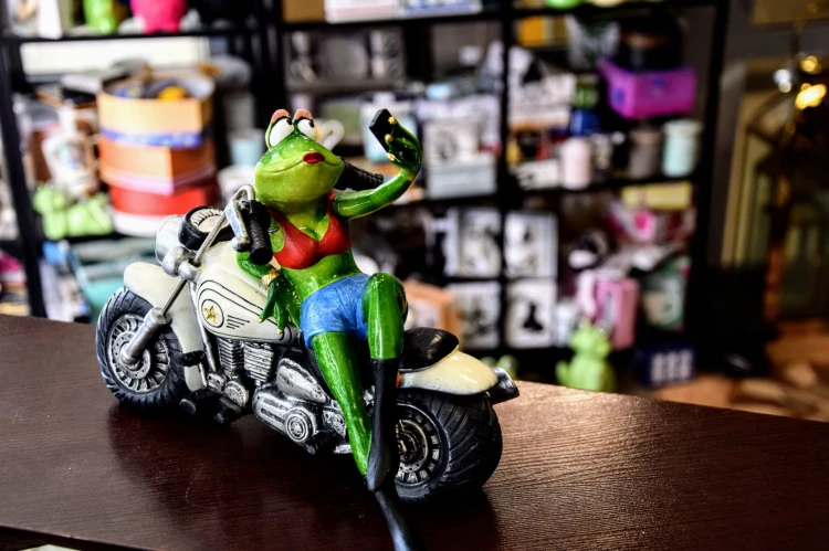 4424a97a3201309c68580cda42fed980