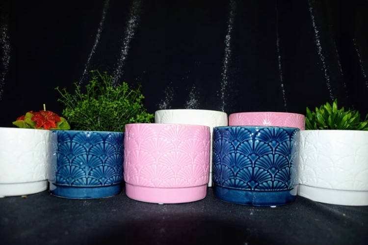 c4c330256f4e3e9a54a58485541cf79e