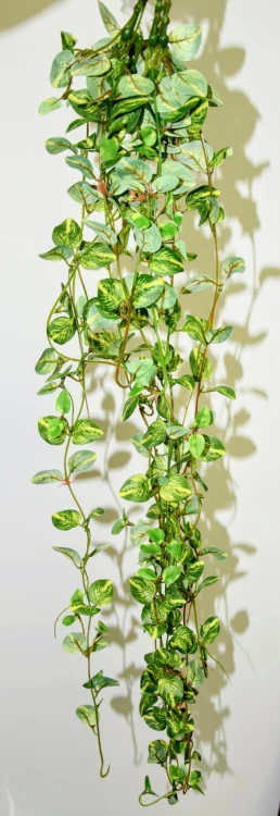 c297ac218d6dd55ba0883e4d1be4fb8f