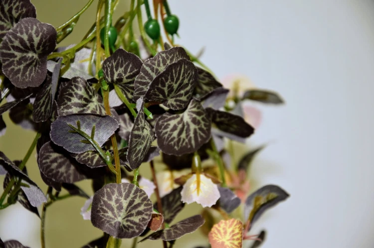 86f42c5034f66685dfa2ea387bf5fcee