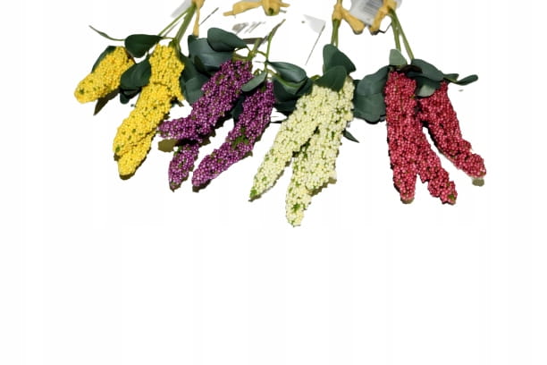 bc8bf873efad84c38fa9283c594298a5