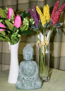 47319df0635ce518c678831fd599deef