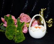 5ec669b7cb11555879f58b7f9f48055c